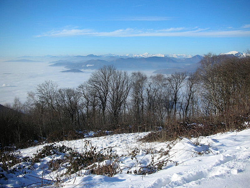 Paesaggi invernali dal Monte Maddalena (BS)